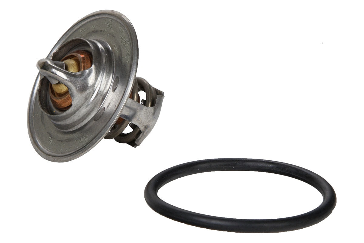 Thermostat, coolant (28.0200-4118.2)