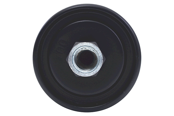 Fuel Filter (28.0002-4220.2)