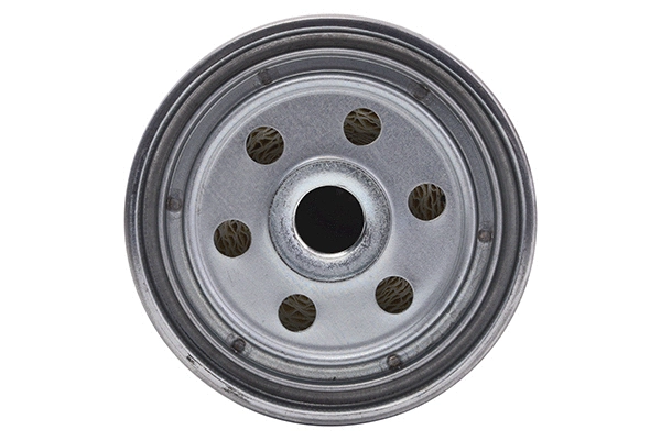 Fuel Filter (28.0002-4061.2)