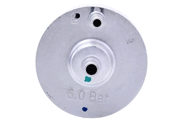 Fuel Filter (28.0002-3022.2)