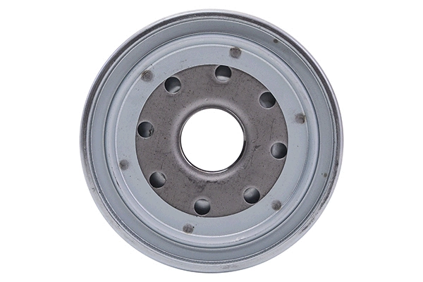 Fuel Filter (28.0002-4161.2)