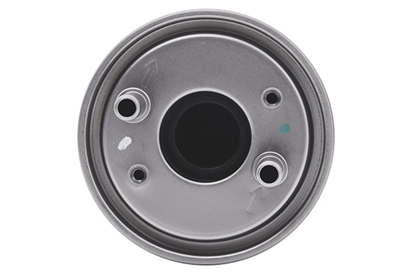 Fuel Filter (28.0002-4236.2)