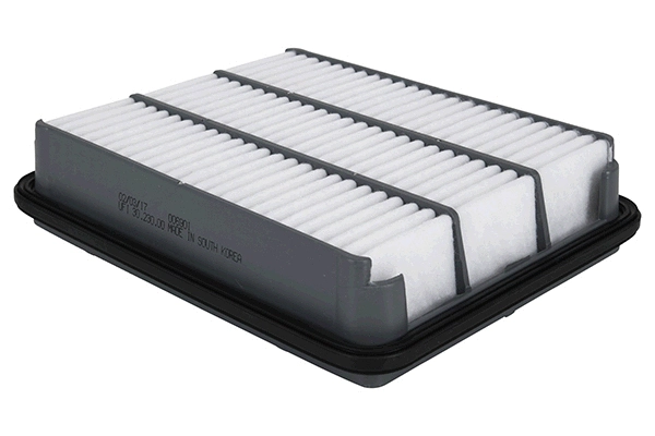 Air Filter (28.0002-0374.2)
