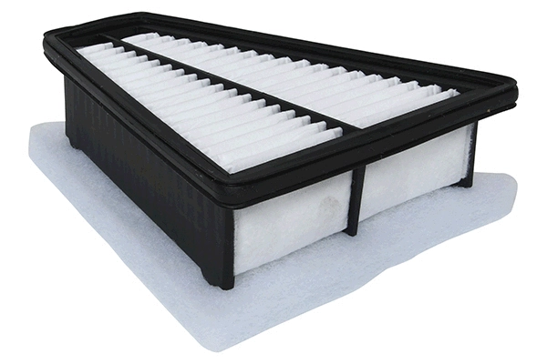 Air Filter (28.0002-0556.2)