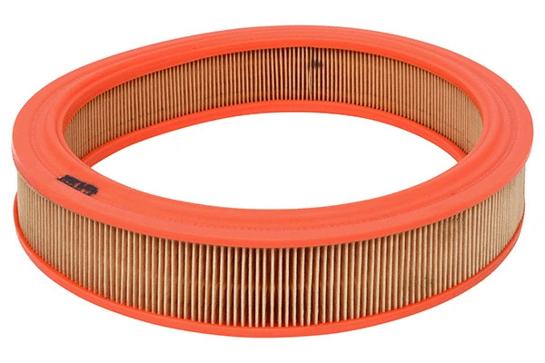 Air Filter (28.0002-0239.2)
