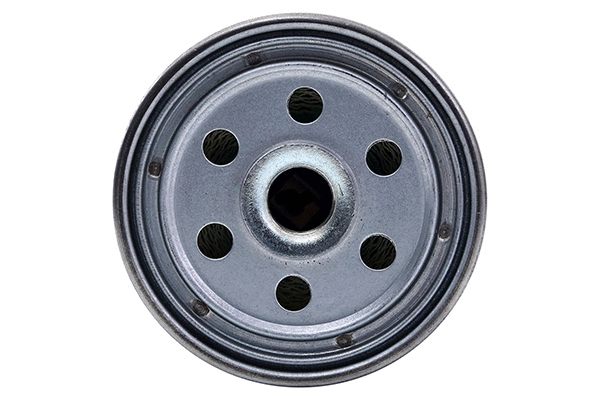Fuel Filter (28.0002-4115.2)