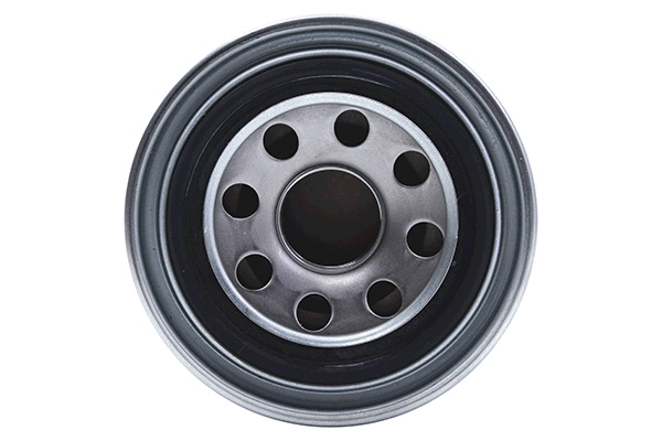 Fuel Filter (28.0002-4202.2)