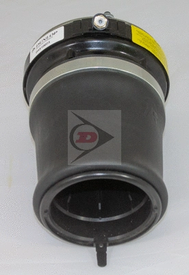 Shock Absorber (DAS10023)