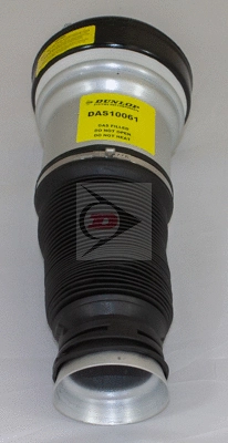 Air Suspension Strut (DAS10061)