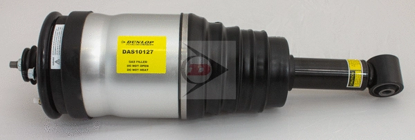 Air Suspension Strut (DAS10127)