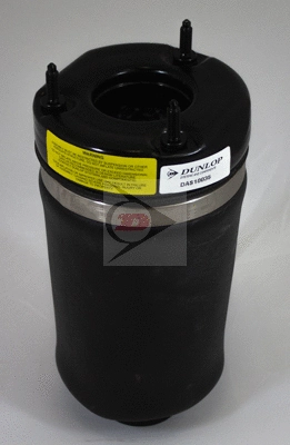 Air Suspension Strut (DAS10035)