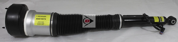 Air Suspension Strut (DAS10070)