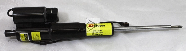 Air Suspension Strut (DAS10058)