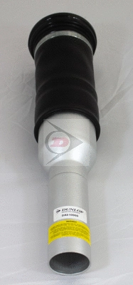 Air Suspension Strut (DAS10060)