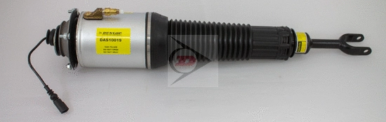 Air Suspension Strut (DAS10019)