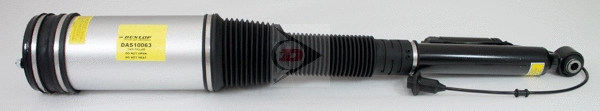 Air Suspension Strut (DAS10063)