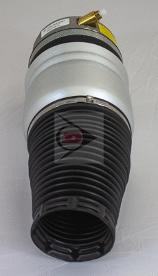 Air Spring, suspension (DAS10013)