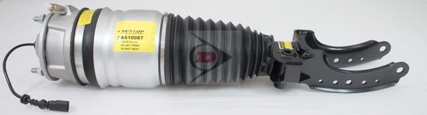 Air Suspension Strut (DAS10087)