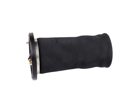 Air Spring, suspension (DAS10132)