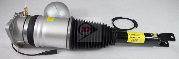 Air Suspension Strut (DAS10120)