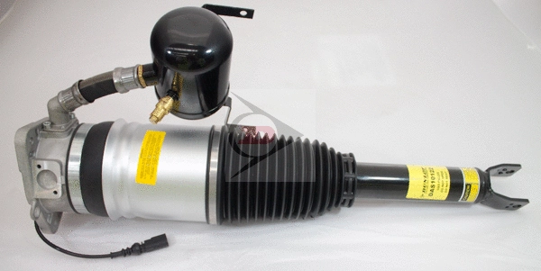 Air Suspension Strut (DAS10122)