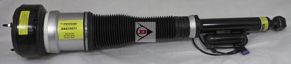 Air Suspension Strut (DAS10071)