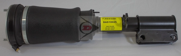 Shock Absorber (DAS10025)
