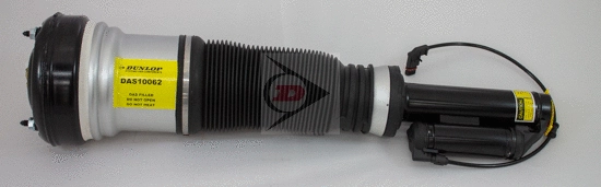 Air Suspension Strut (DAS10062)