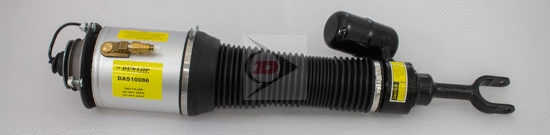Air Suspension Strut (DAS10086)