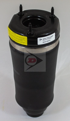 Air Suspension Strut (DAS10075)