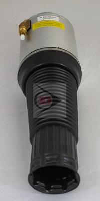 Air Suspension Strut (DAS10017)