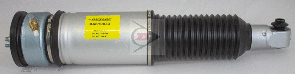 Air Suspension Strut (DAS10033)