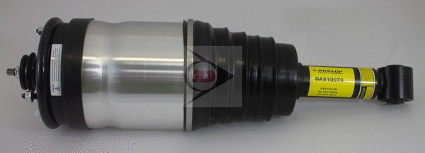 Air Suspension Strut (DAS10079)