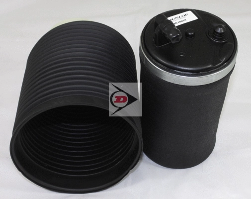 Air Spring, suspension (DAS10083)