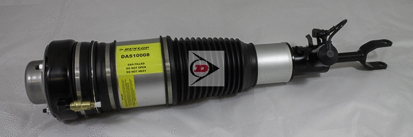 Air Suspension Strut (DAS10008)