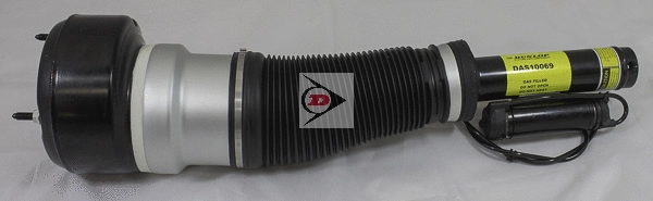 Air Suspension Strut (DAS10069)