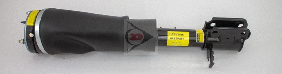 Air Suspension Strut (DAS10081)
