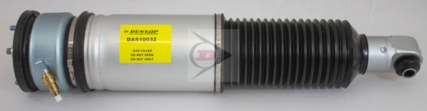 Air Suspension Strut (DAS10032)