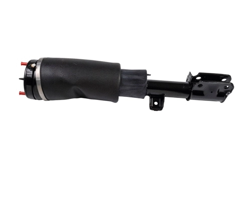 Air Suspension Strut (DAS10109)