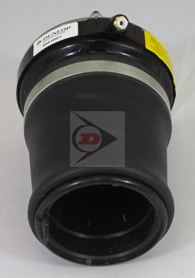 Shock Absorber (DAS10024)