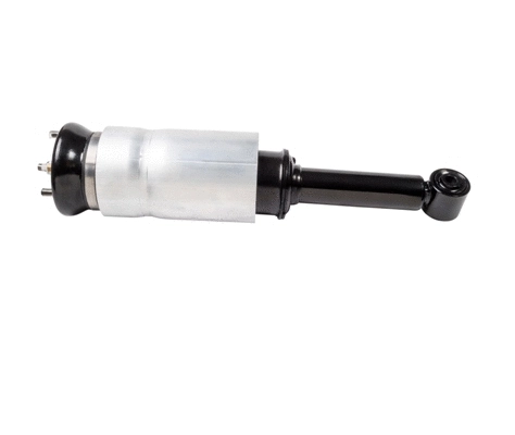 Air Suspension Strut (DAS10116)
