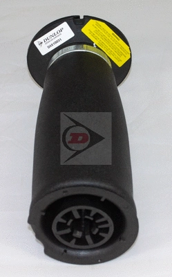 Air Spring, suspension (DAS10031)