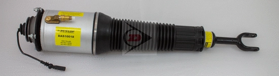Air Suspension Strut (DAS10018)