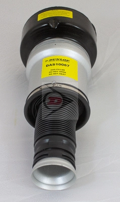 Air Suspension Strut (DAS10067)