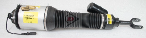 Air Suspension Strut (DAS10085)
