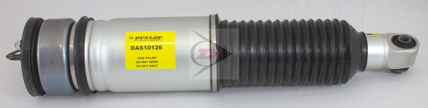 Air Suspension Strut (DAS10126)