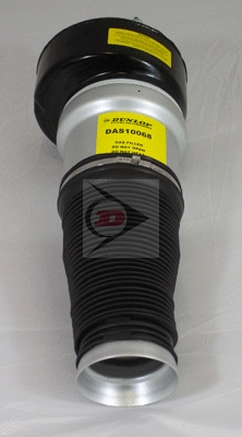 Air Suspension Strut (DAS10068)