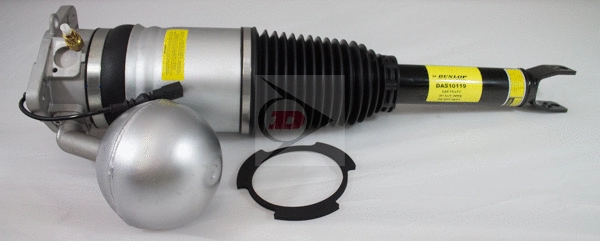 Air Suspension Strut (DAS10119)