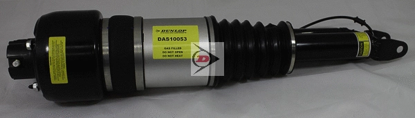 Air Suspension Strut (DAS10053)