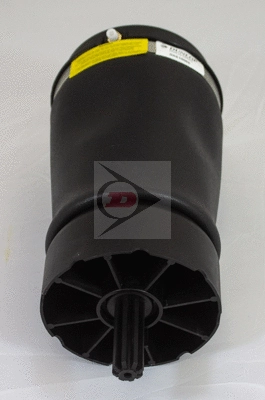Air Spring, suspension (DAS10080)